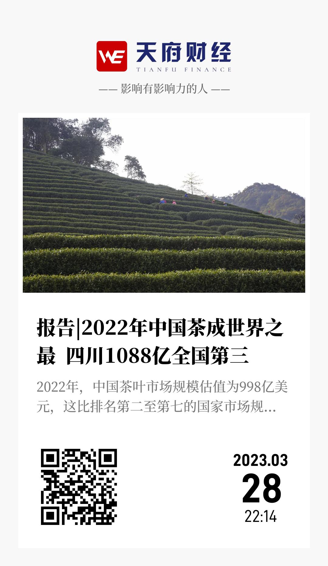 报告|2022年中国茶成世界之最  四川1088亿全国第三 - 海报