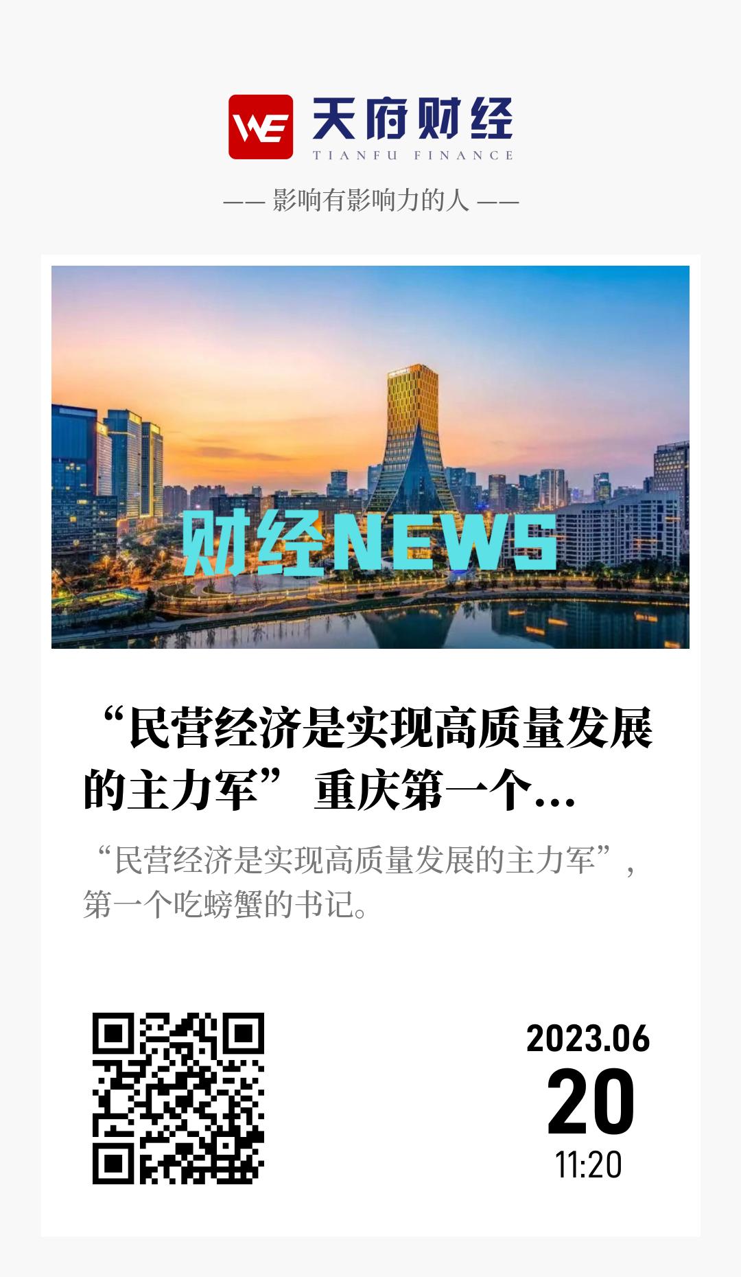 “民营经济是实现高质量发展的主力军” 重庆第一个吃螃蟹 - 海报